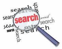 Website Searchability